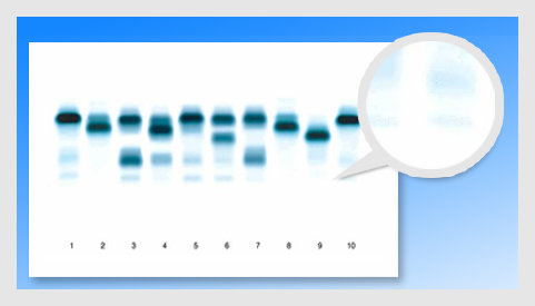 1573717603137035.jpg image007.jpg